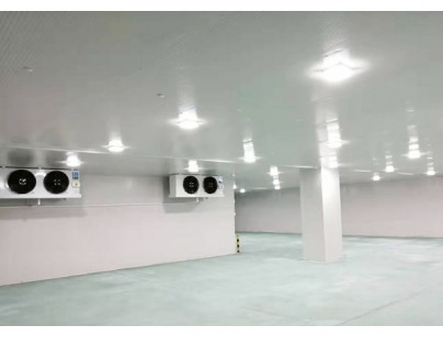 廣東完美400㎡日用品恒溫庫、冷藏庫（防爆冷庫）工程建造方案