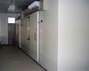 建造一個100平方米肉類速凍庫安裝造價多少錢？