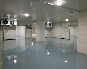 血制品公司建造80立方-25~-30℃血漿冷庫(kù)的方案報(bào)價(jià)？