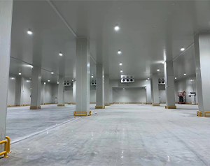 你知道未來哪種冷庫更有市場潛力，有“錢”景？