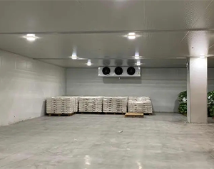 貯藏果實怎樣進行物質代謝和能量代謝？