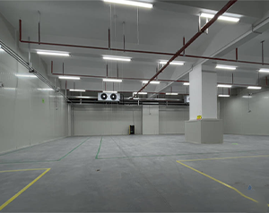 建200噸氣調(diào)庫(kù)多少錢(qián)?存放葡萄、獼猴桃